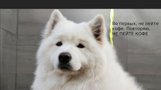 гайд как заснуть