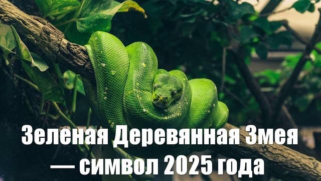 Зеленая Деревянная Змея — символ 2025 года