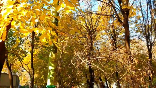 ВЛОГ: Об Отношениях, Рецепт Курицы с Овощами в Сырном Соусе и Осенний Ереван