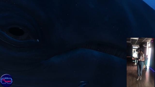The Blue VR