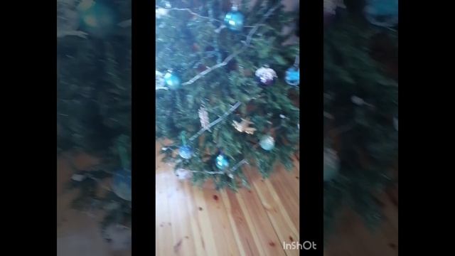 С НАСТУПАЮЩИМ!!!🎄❤️ украшаем с басиками ёлку 🌲=🎄 идем за ёлочными шариками в магазин с Тёмой