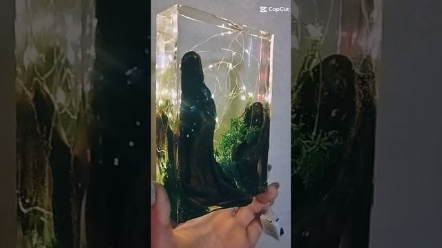 1000070537.mp4