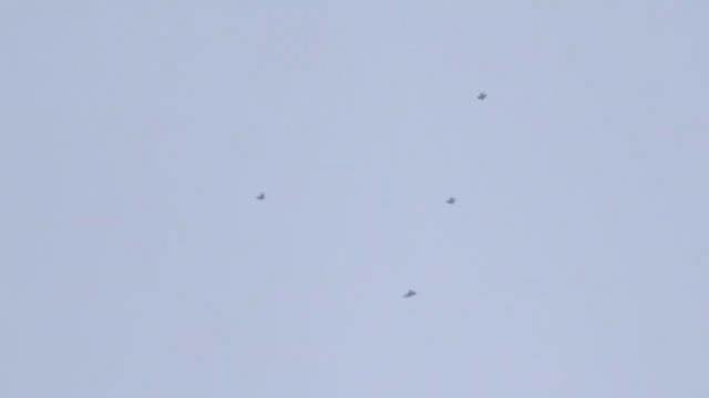 Утром поднимаем,а в обед считаем..mp4