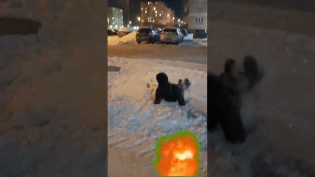 Бомба взорвалась и игра началась
