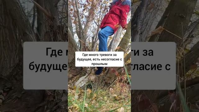 тревога.mp4