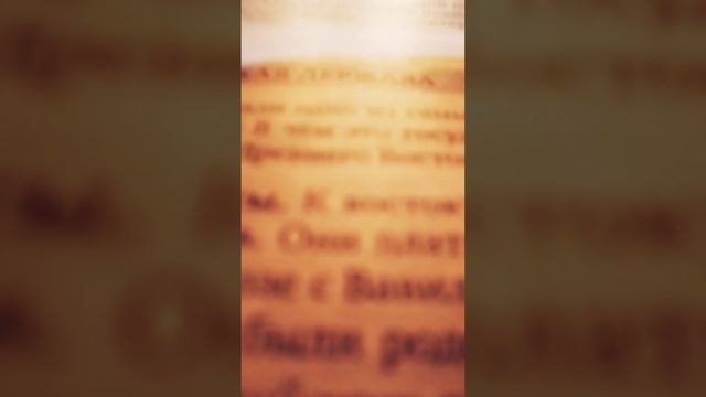 YouCut_20241205_202950049.mp4