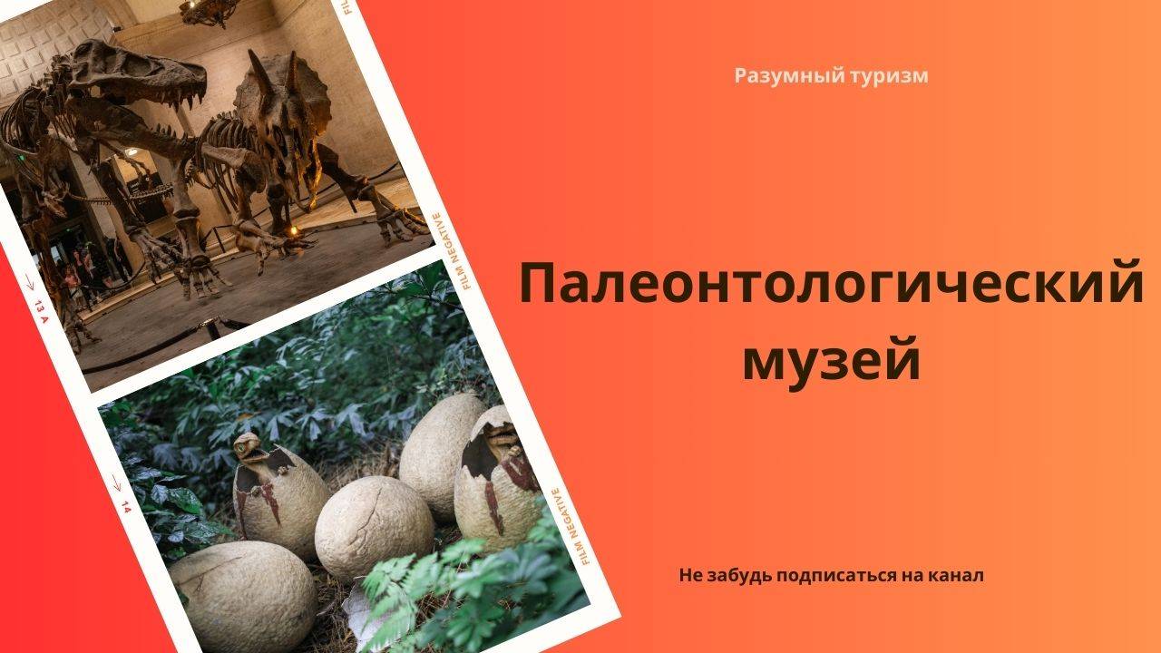 Палеонтологический музей в Москве - стоит ли идти и что там посмотреть! Тот самый музей динозавров!
