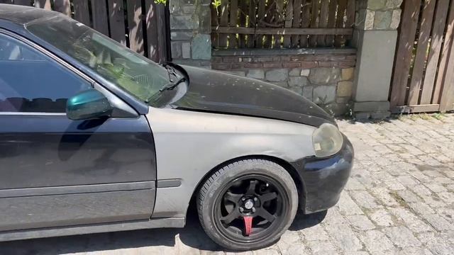 В Грузию на автомобиле с собаками (2-я часть)