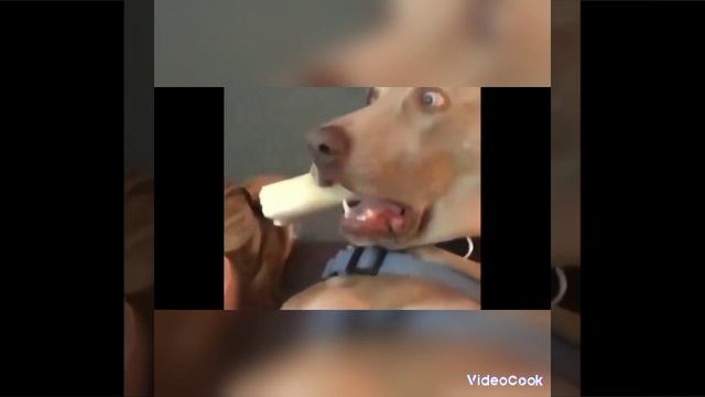 1000006143.mp4