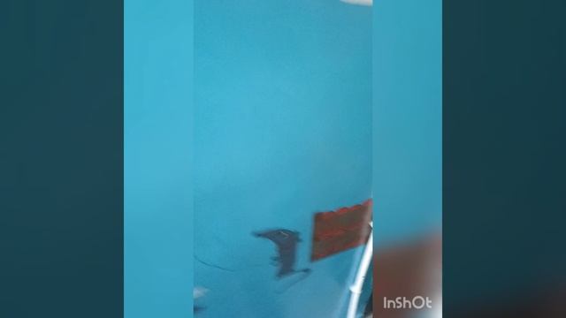 Герои мультфильмов в подъезде.mp4