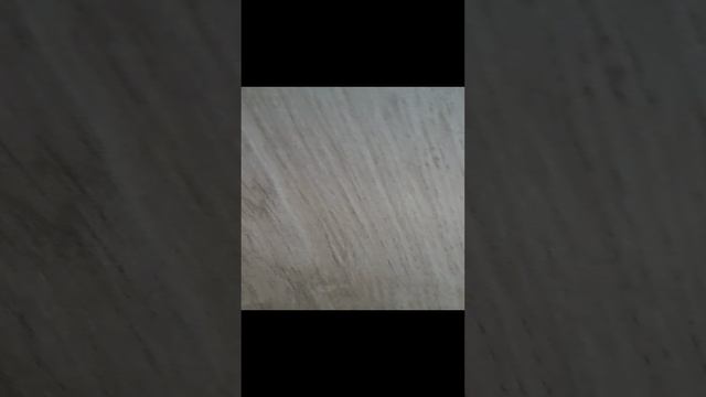 1000108604.mp4
