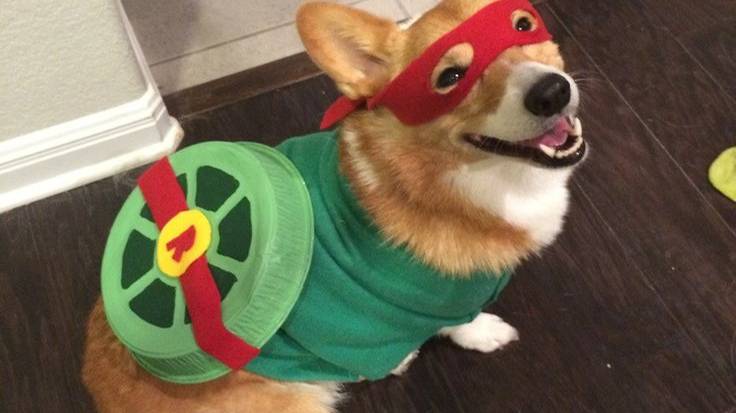 СПОЙЛЕР НА МОЮ ИГРУ В РОБЛОКС!