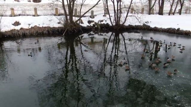 Овстуг-усадьба Тютчева.mp4