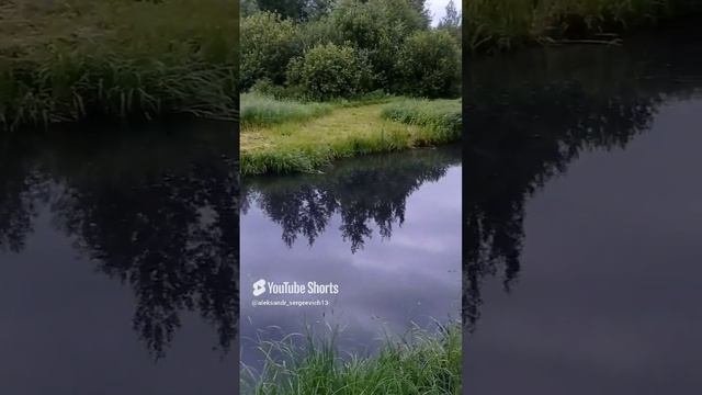 У черноводной канавки