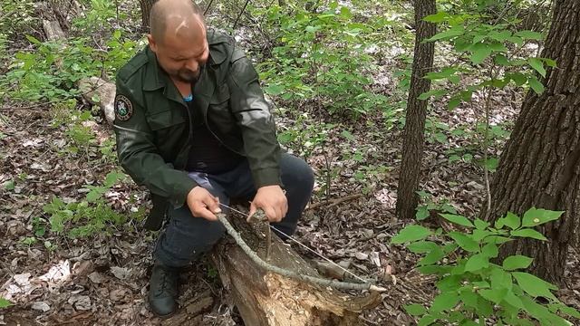 Проверяю лучший способ добычи огня в лесу