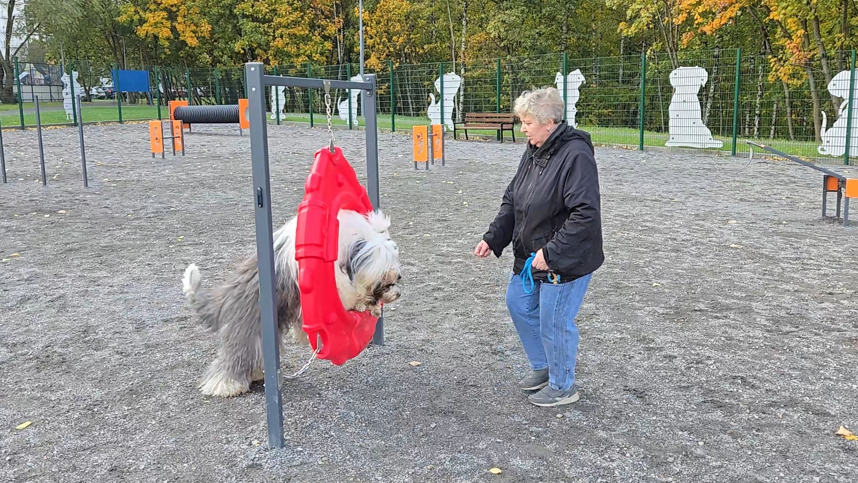 на собачьей площадке