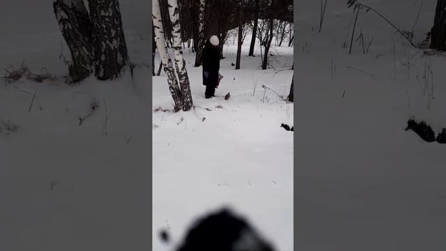 белка