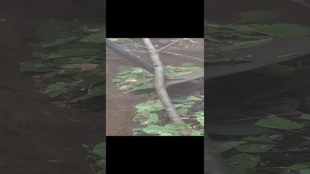 прилёты по нашим позициям со стороны ВСУ