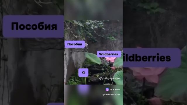 Круговорот в жизни