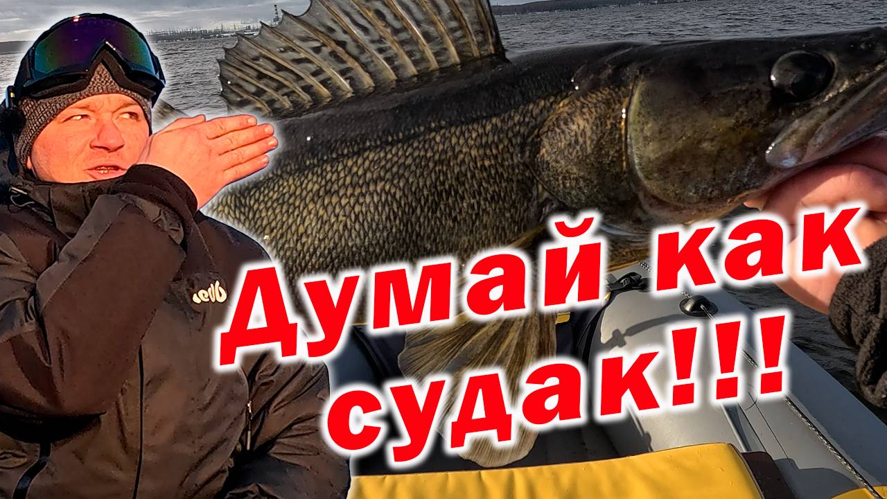 "СУДАК ЗАСТОЛЬНЫЙ" !!!ИДЕАЛЬНЫЕ УСЛОВИЯ ДЛЯ ЛОВЛИ СУДАКА!!!