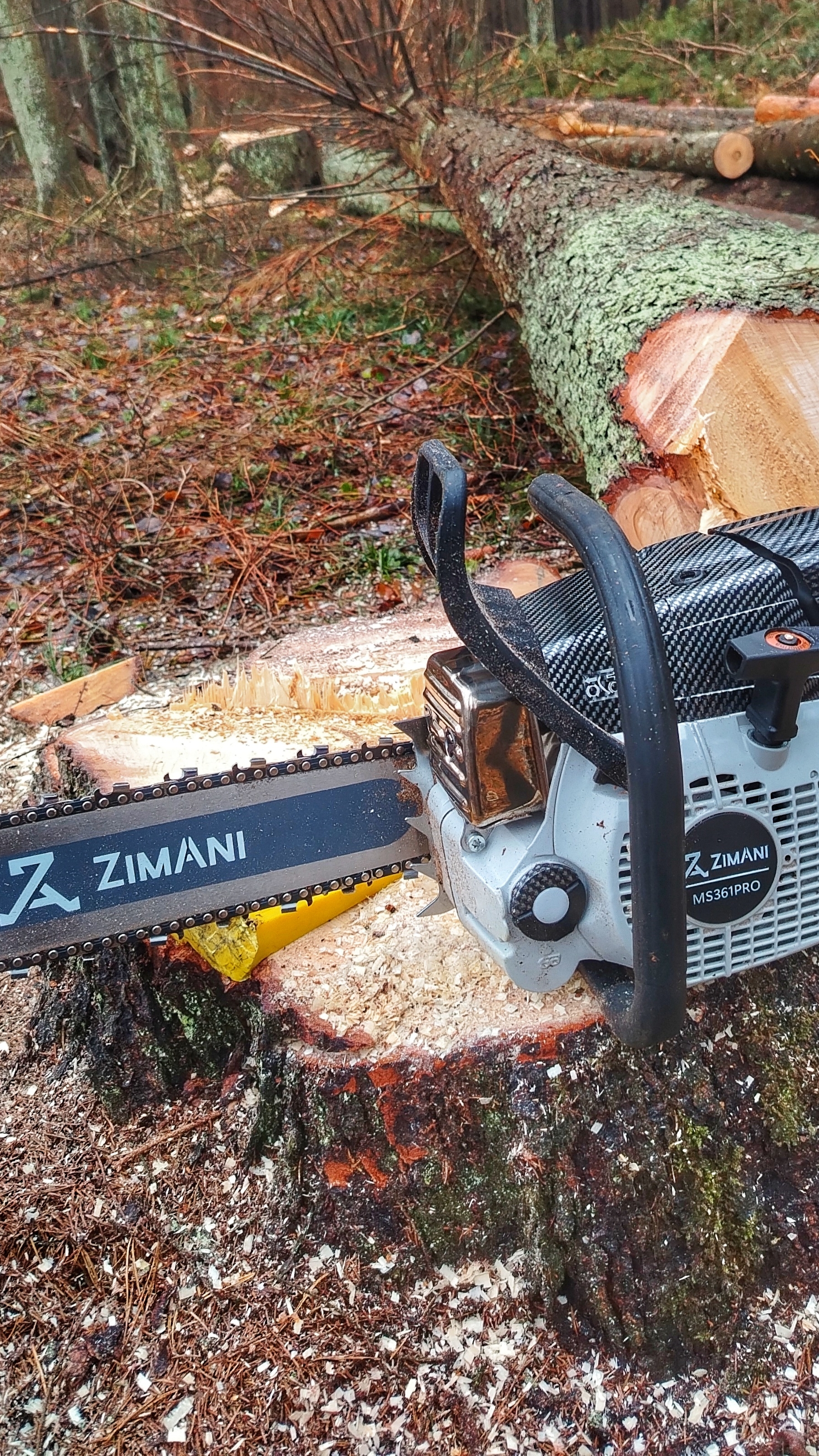 С коробки и сразу в лес 🌲🪓 Обновленная бензопила ZimAni MS361 PRO