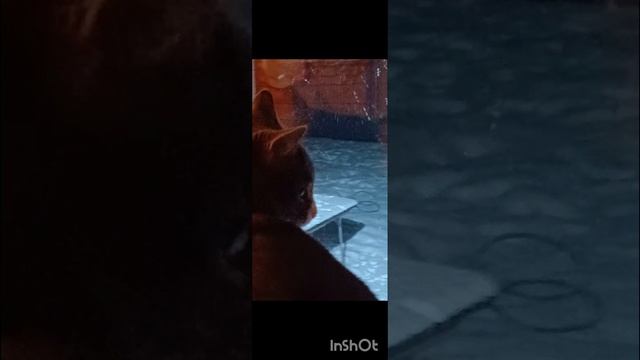 1000082890.mp4