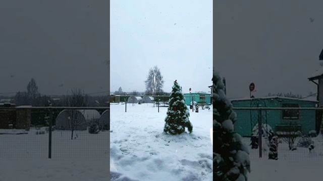 Белая зима