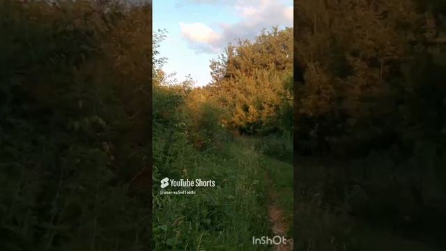 Хорошо иметь домик в деревне #домвдеревне