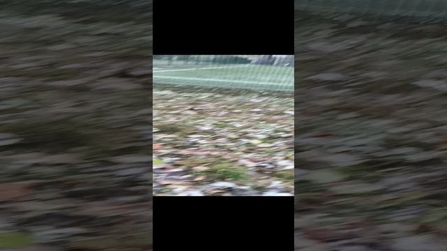 новый обзор