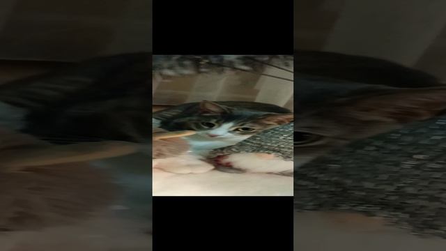 1000126281.mp4