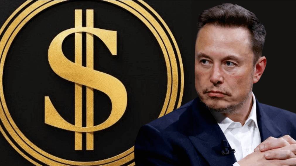 Департамент Эффективности Правительства США , Илон Маск