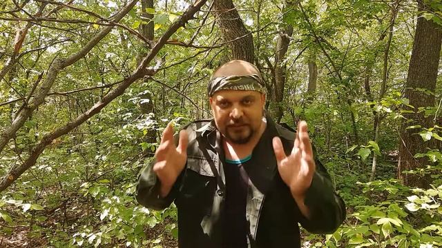 Как защититься от дикого кабана в лесу