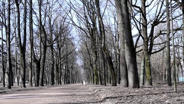 Аркадий Ангел  Прости