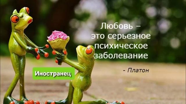 Иностранец - Любовь = Заболевание