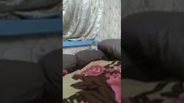 Ну тогда спрячусь
