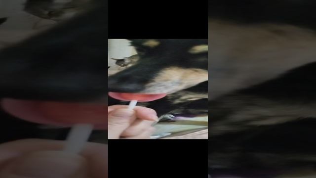 1000001807.mp4