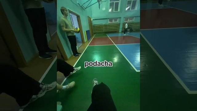 podacha