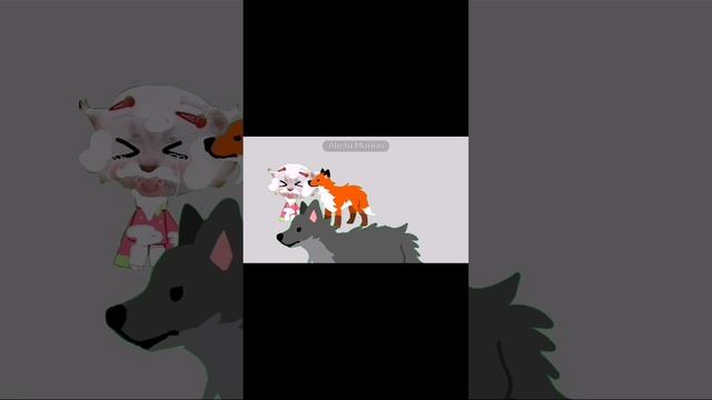 видео с ос)))