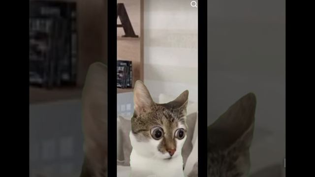 Косарь тебе или брату? #shorts