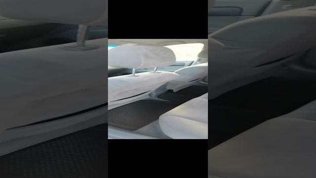 VID_20241220_144751.mp4