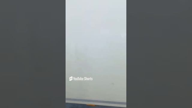 трололо.mp4