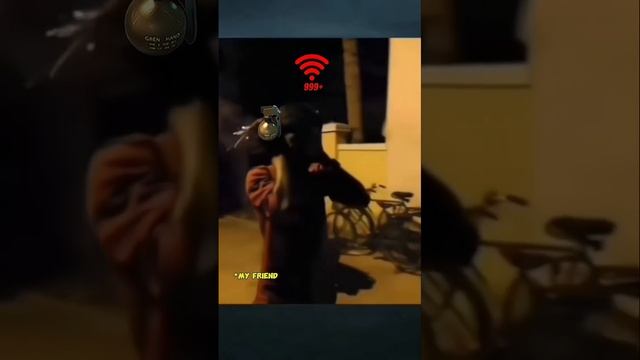 1000154721.mp4