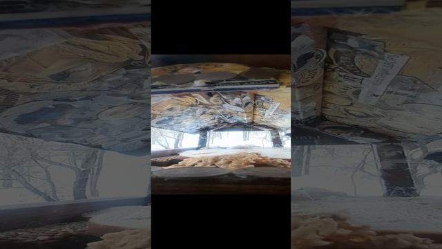 1000035449.mp4жизнь кормушки.21.12.2024г.