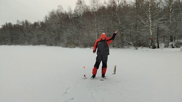 Щука на жерлицы, плотва на батон