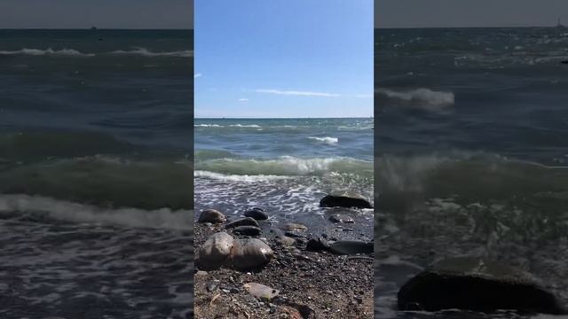 Сентябрь 2023 Сочи.