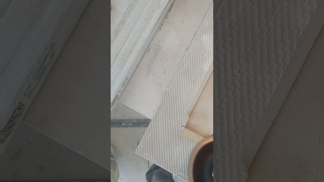 petal_20241220_171735.mp4