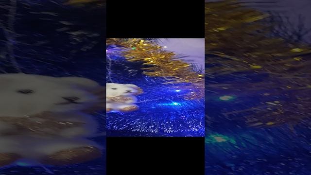 1000098315.mp4