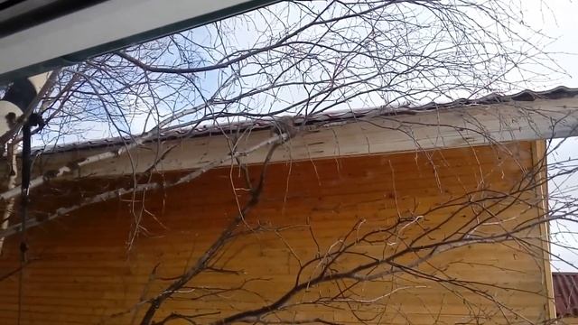 А нужна ли сетка против ос (насекомых)  для кровли?!