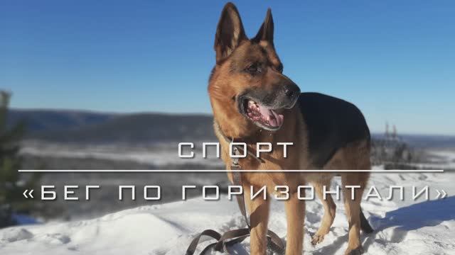 Бег с другом.