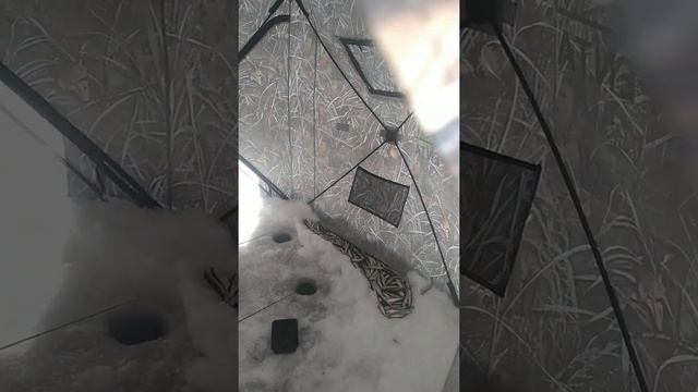 о. М. Буссе, малоротка на махалки. Это бомба